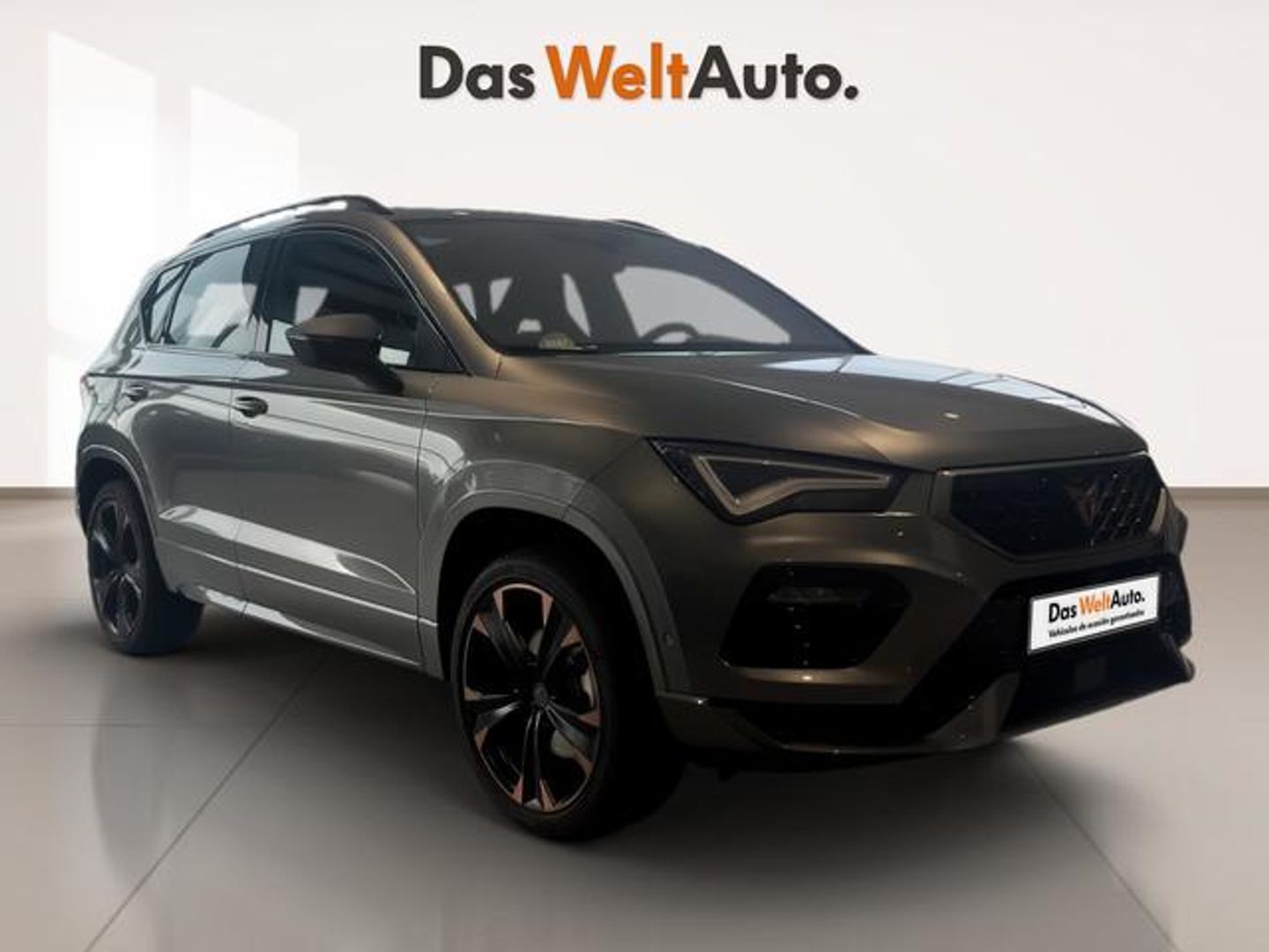 CUPRA Ateca 2.0 TSI 4Drive DSG 140 kW (190 CV)