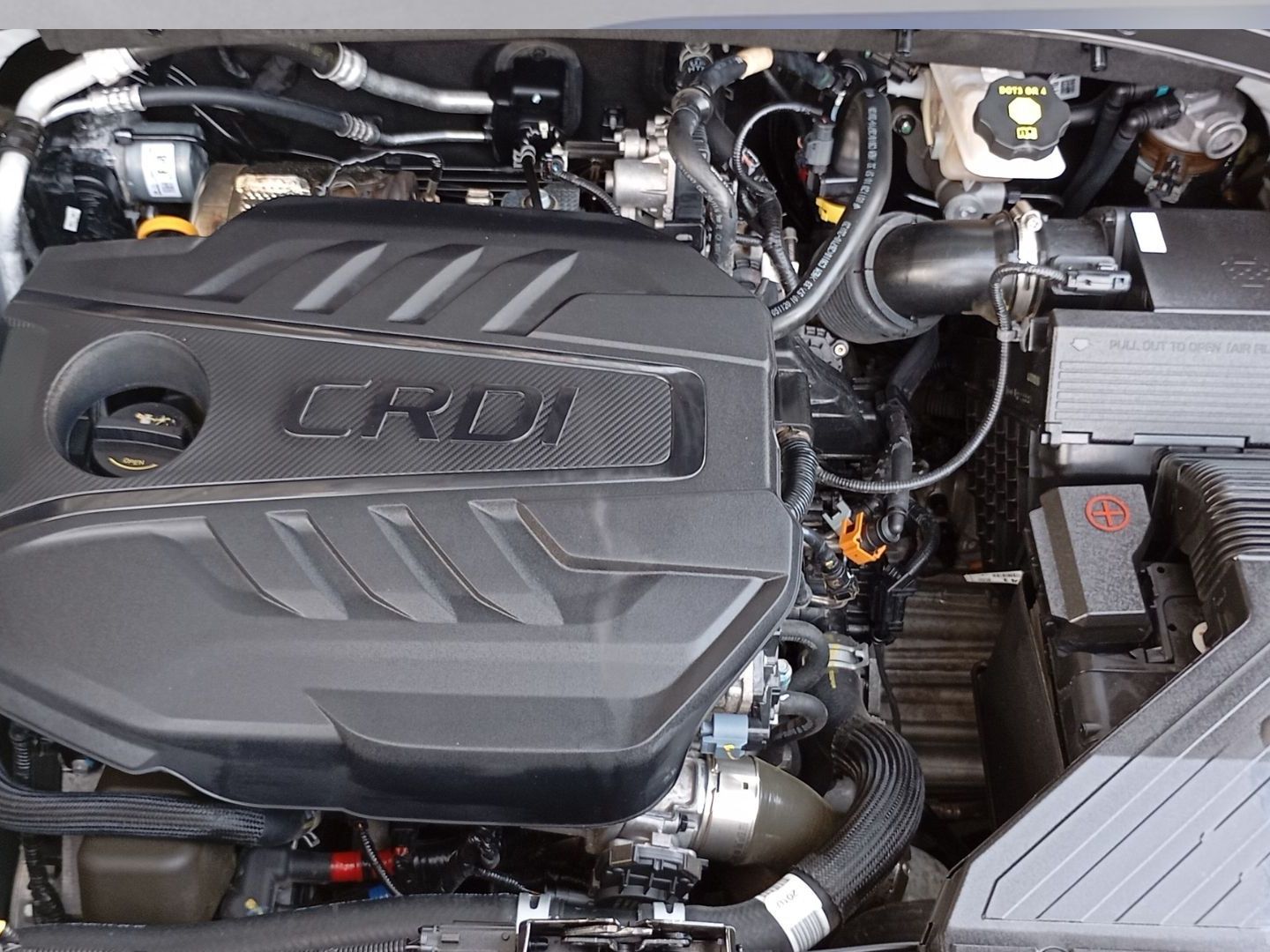 Kia Sportage 1.6 MHEV Black Edition 100 kW (136 CV)