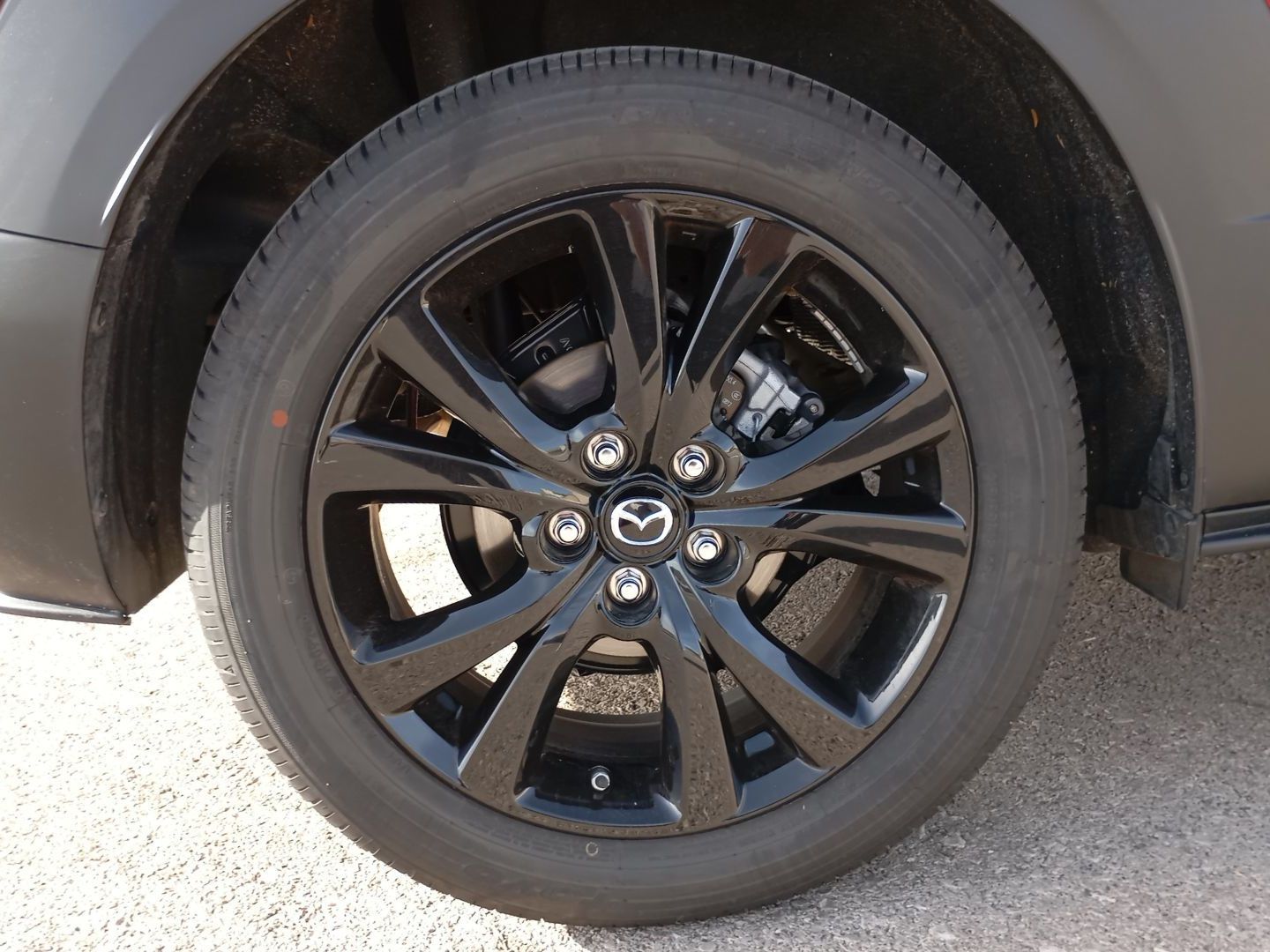 Mazda CX-30 2.0 e-Skyactive G MHEV Homura 6AT 90 kW (122 CV)