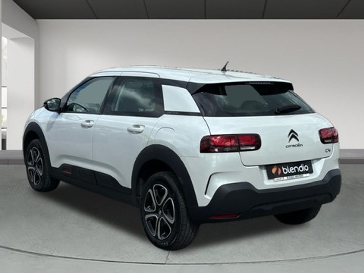 Citroen C4 Cactus PureTech 110 S&S Feel 81 kW (110 CV)