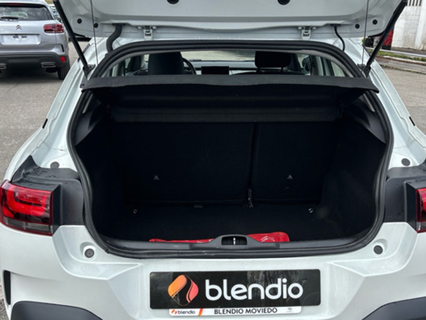 Citroen C4 Cactus PureTech 110 S&S Feel 81 kW (110 CV)