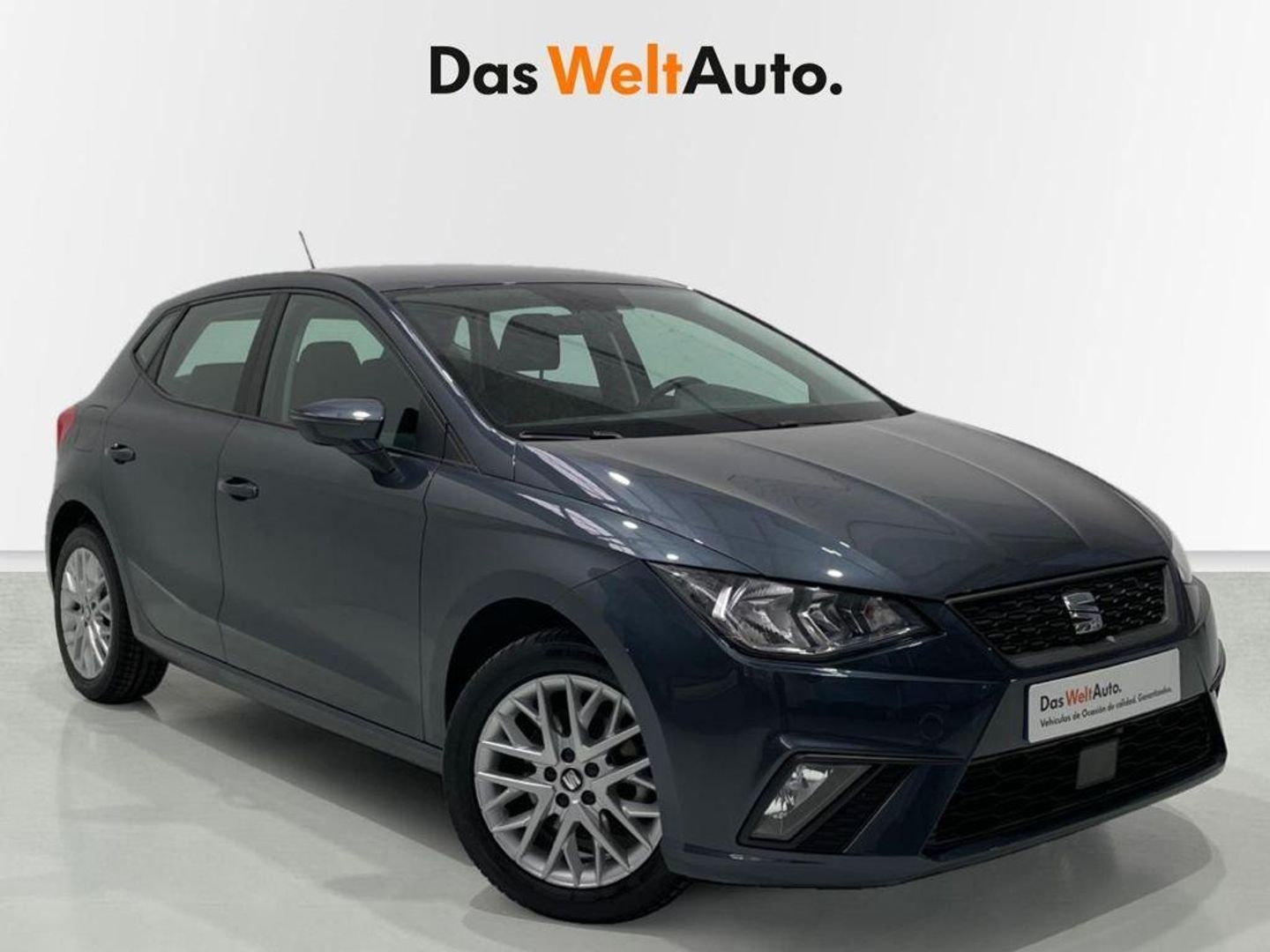 SEAT Ibiza 1.0 TSI Style Go2 81 kW (110 CV) Gris Sedan