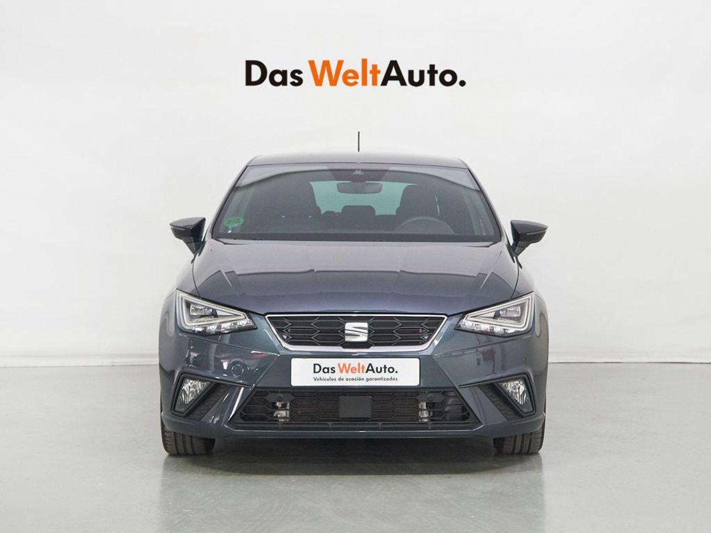 SEAT Ibiza 1.0 TSI S&S FR XS 81 kW (110 CV)