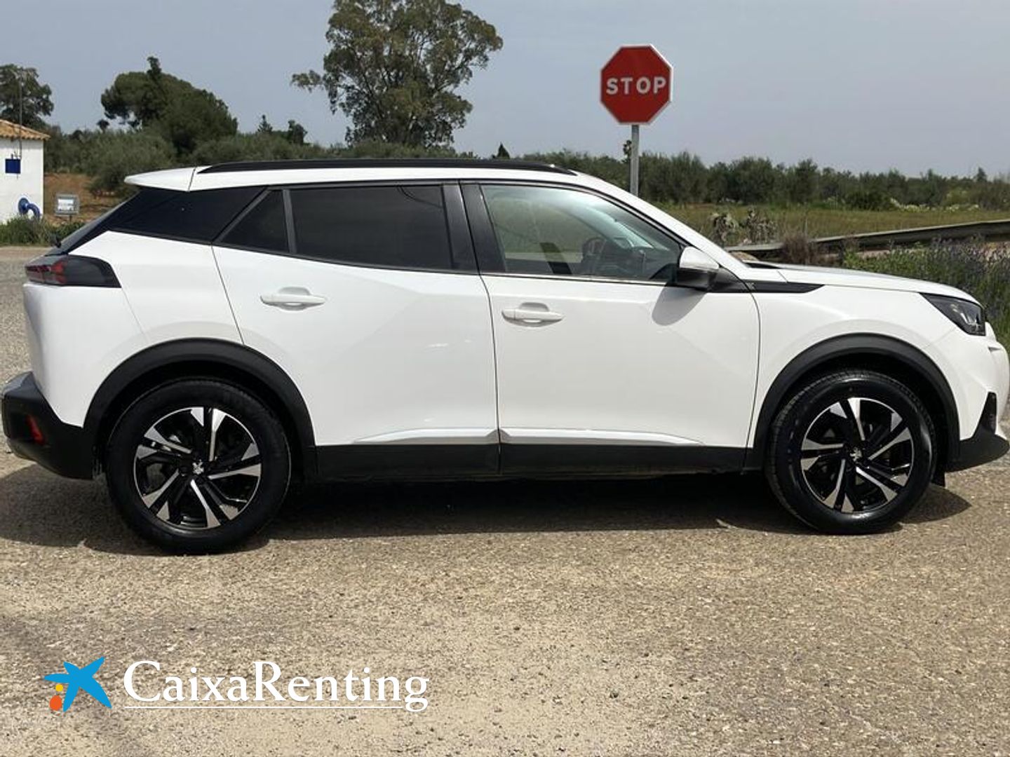 Peugeot 2008 PureTech 130 S&S Allure Pack EAT8 96 kW (130 CV)
