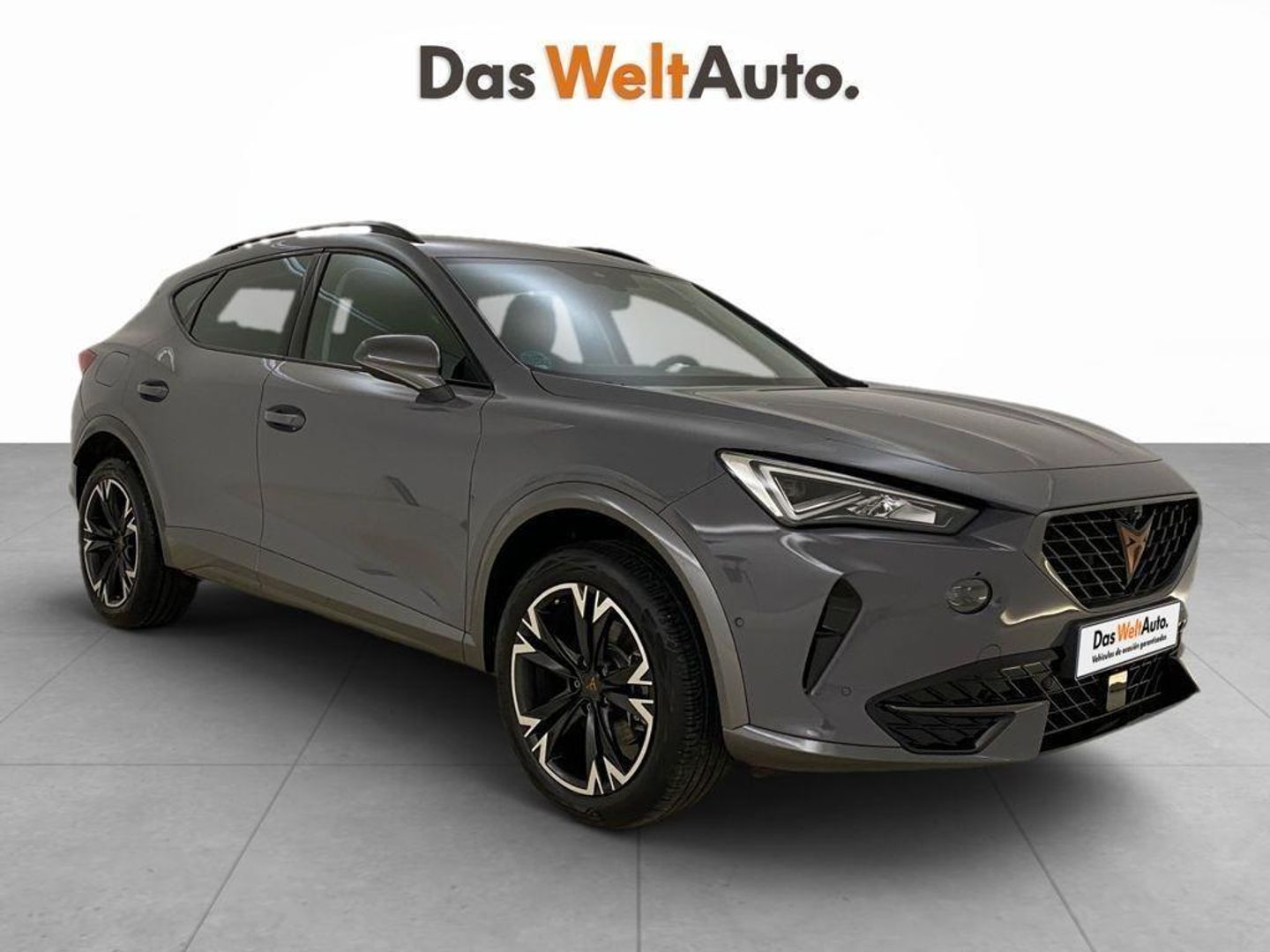 CUPRA Formentor 1.5 TSI 110 kW (150 CV) Gris SUV