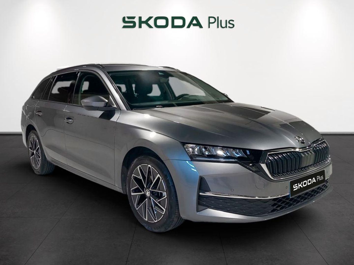 Skoda Octavia Combi 1.5 TSI m-HEV Selection DSG 110 kW (150 CV) Gris Familiar