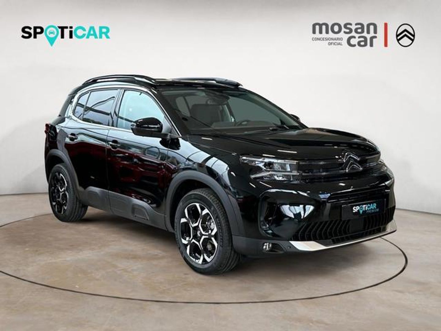 Citroen C5 Aircross BlueHDi 130 S&S Max EAT8 96 kW (131 CV)