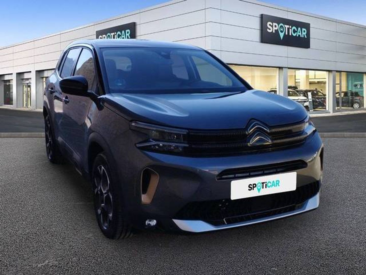 Citroen C5 Aircross BlueHdi 130 S&S C Series EAT8 96 kW (131 CV)