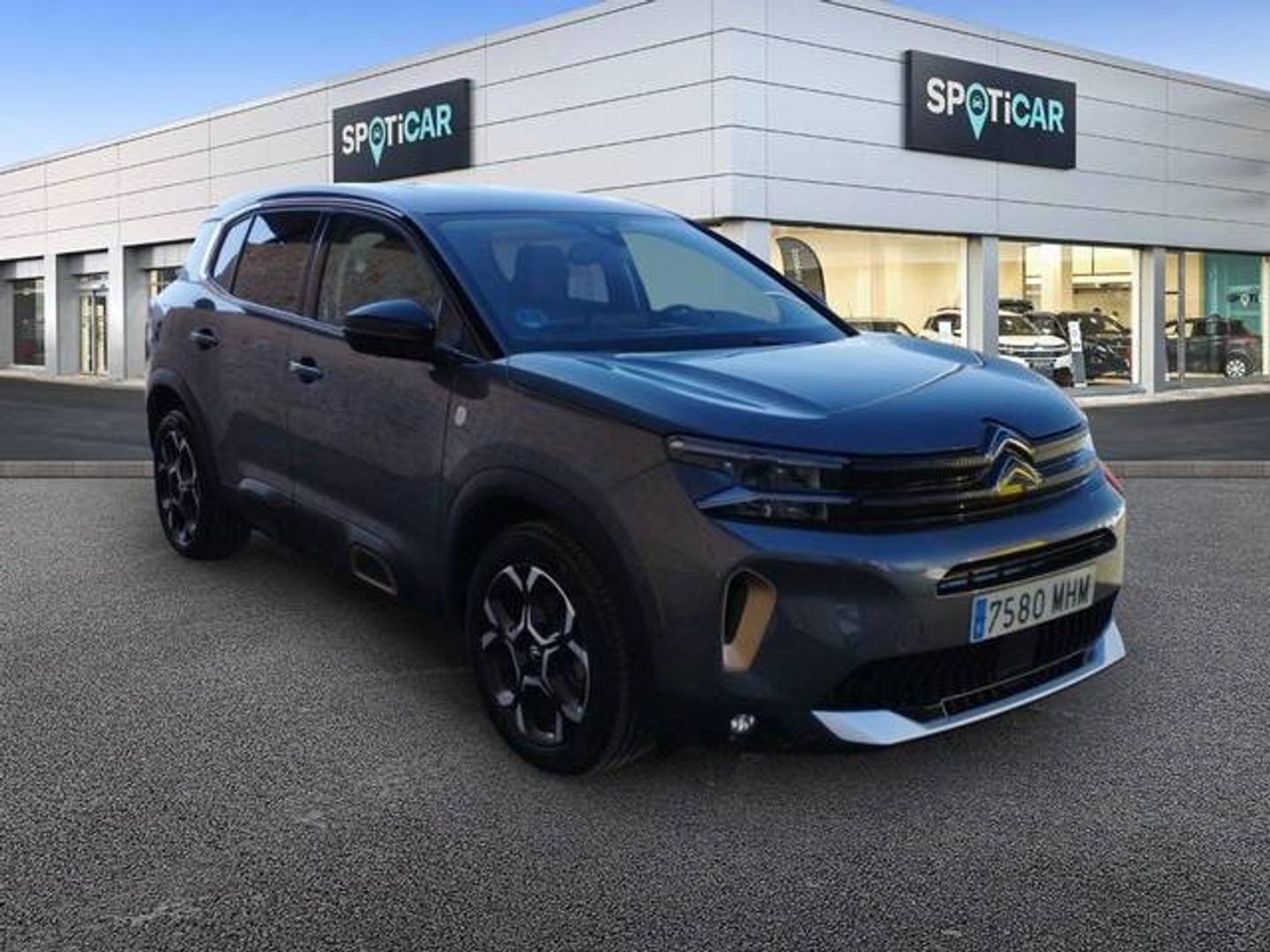 Citroen C5 Aircross BlueHdi 130 S&S C Series EAT8 96 kW (131 CV)