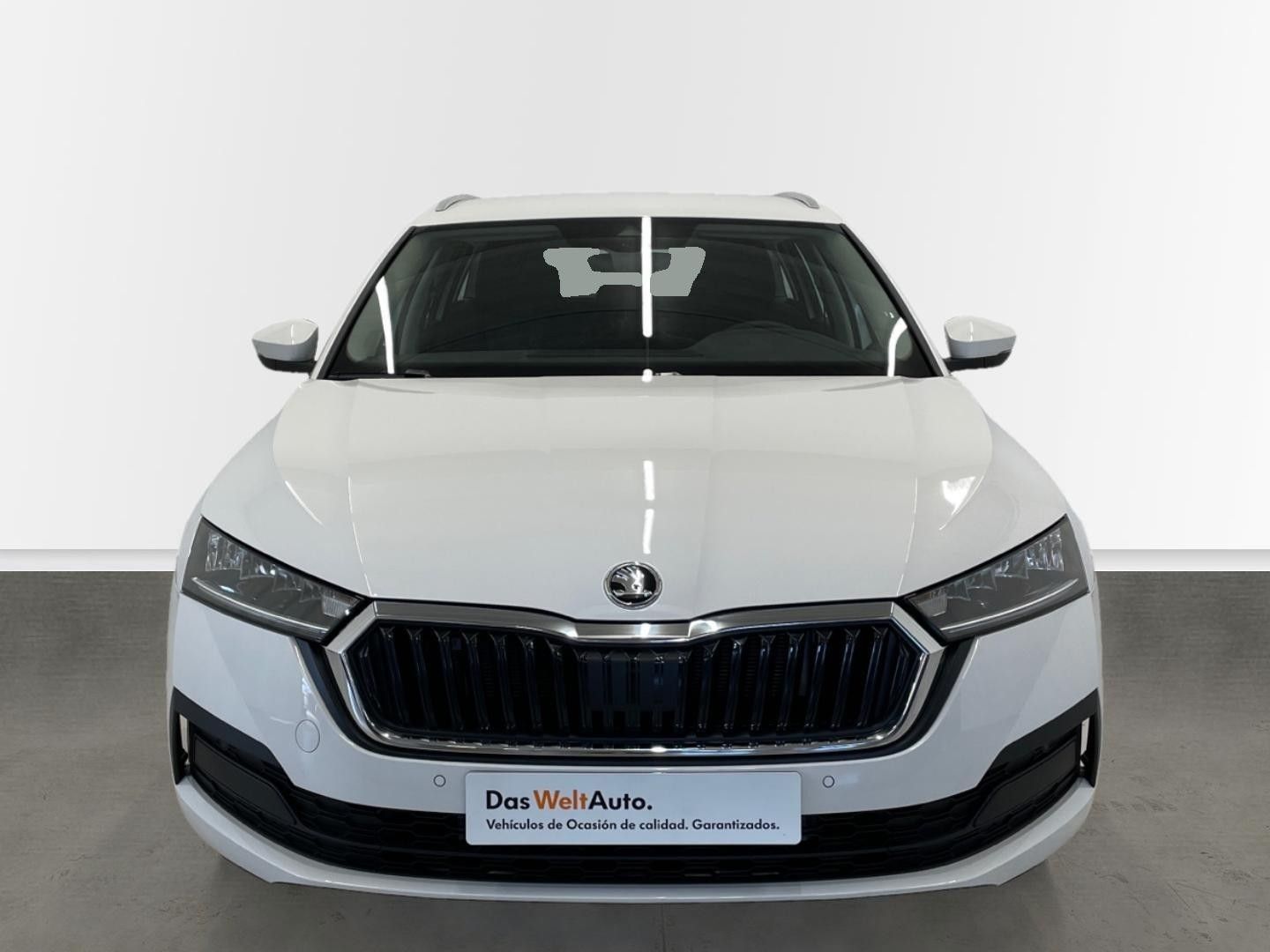 Skoda Octavia Combi 2.0 TDI Ambition DSG 85 kW (115 CV)