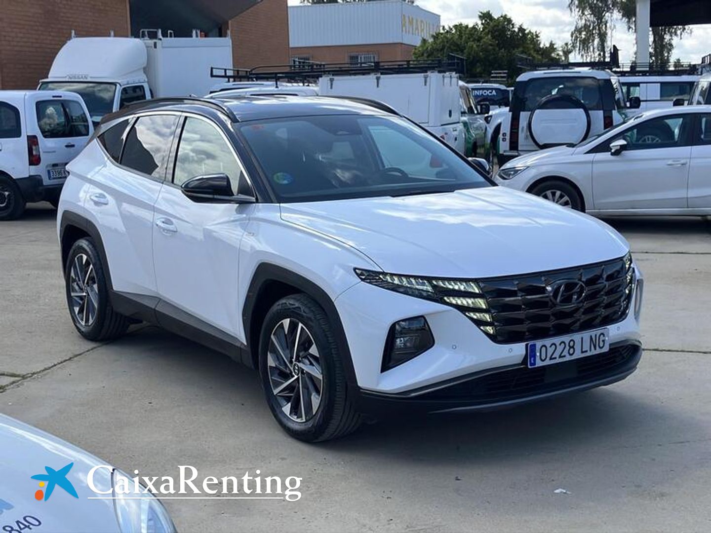 Hyundai Tucson 1.6 TGDI 48V Tecno 2C DCT 110 kW (150 CV)