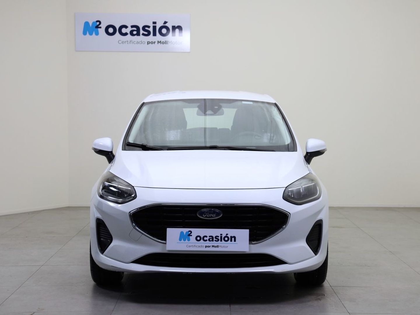 Ford Fiesta 1.0 EcoBoost Trend 74 kW (100 CV)
