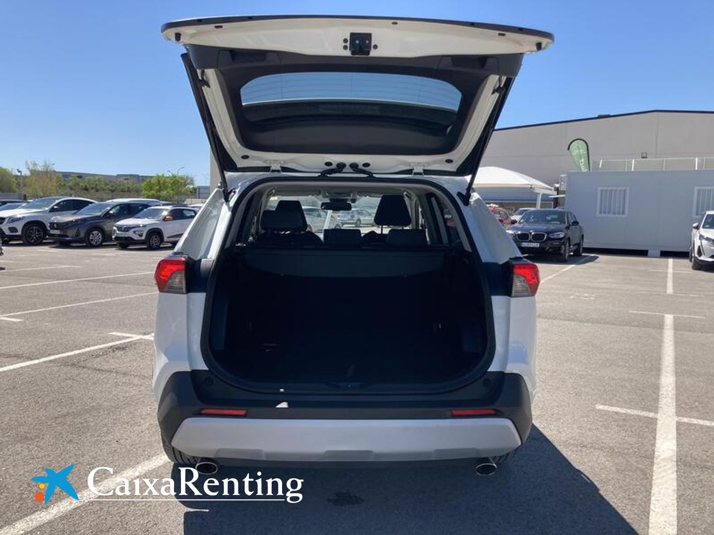 Toyota Rav4 2.5l hybrid Advance 160 kW (218 CV)