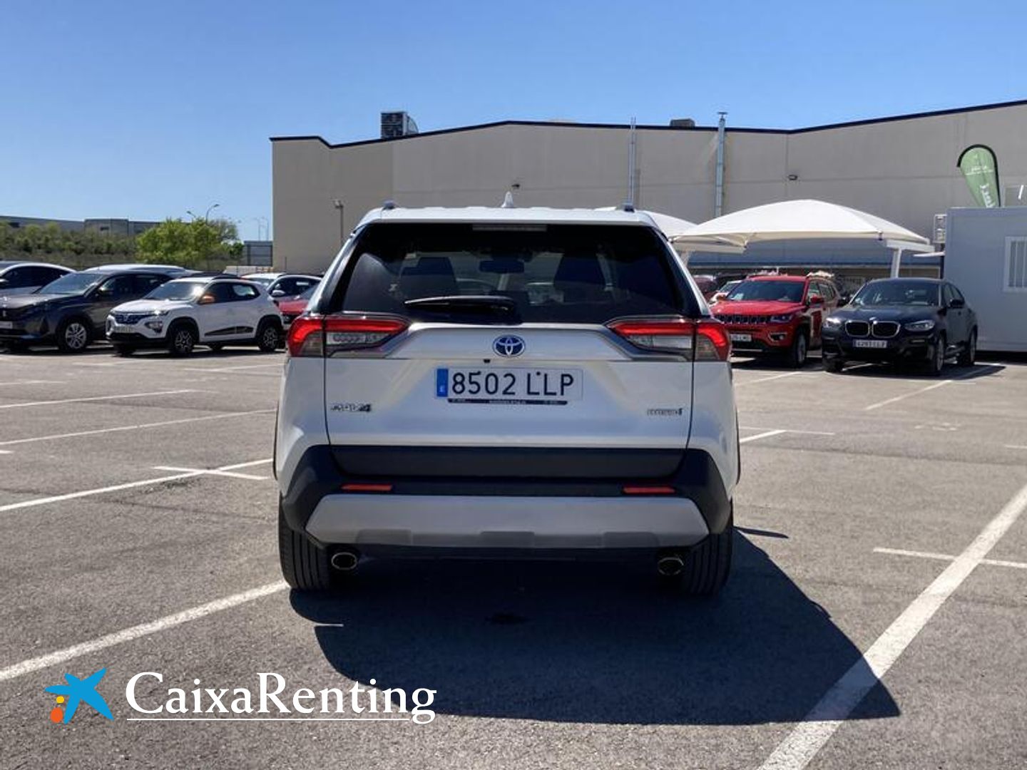 Toyota Rav4 2.5l hybrid Advance 160 kW (218 CV)