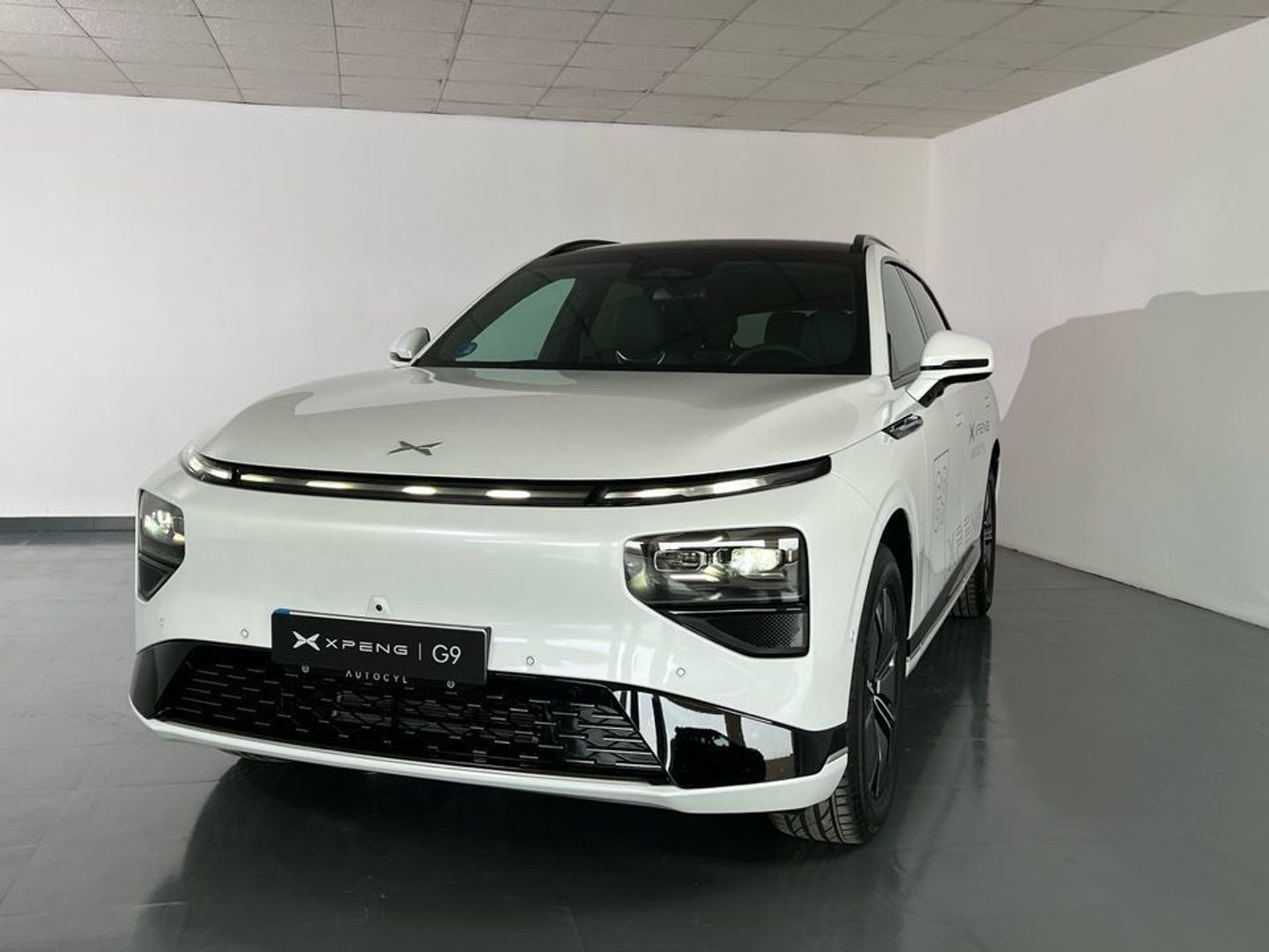 Xpeng G9 Long Range RWD 230 kW (313 CV)