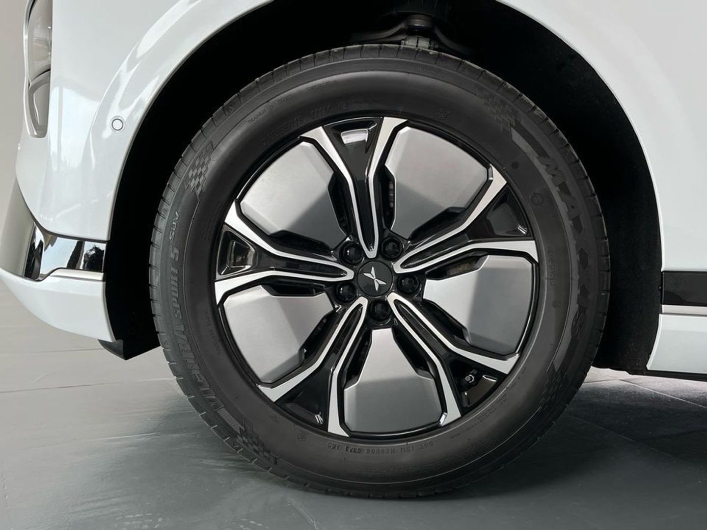 Xpeng G9 Long Range RWD 230 kW (313 CV)