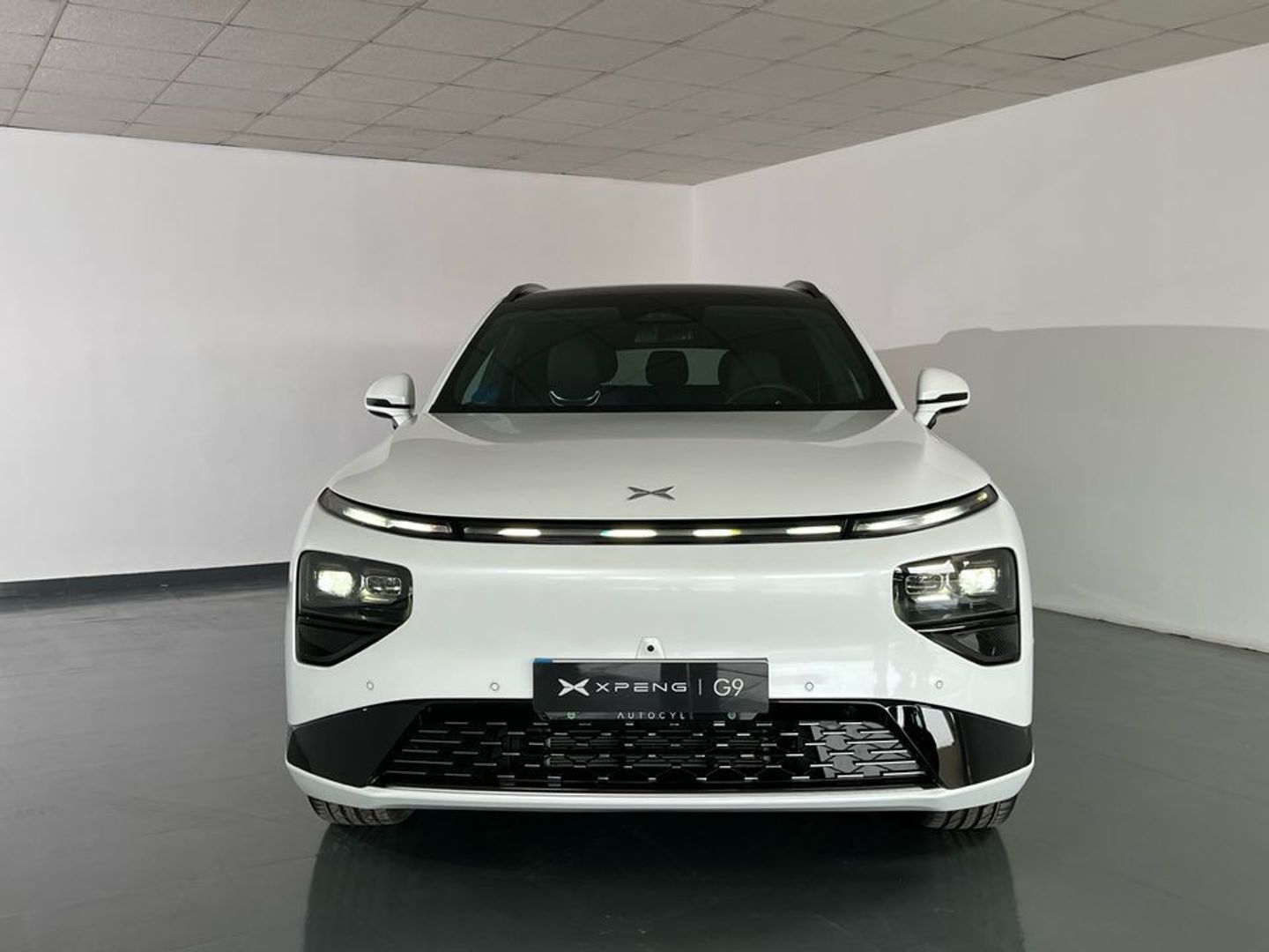 Xpeng G9 Long Range RWD 230 kW (313 CV)