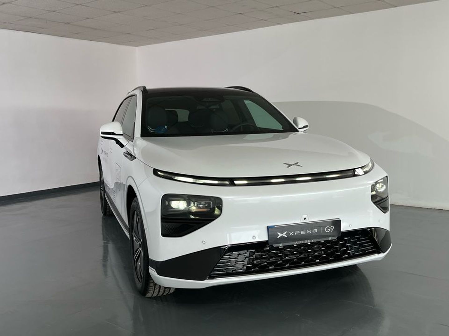 Xpeng G9 Long Range RWD 230 kW (313 CV)