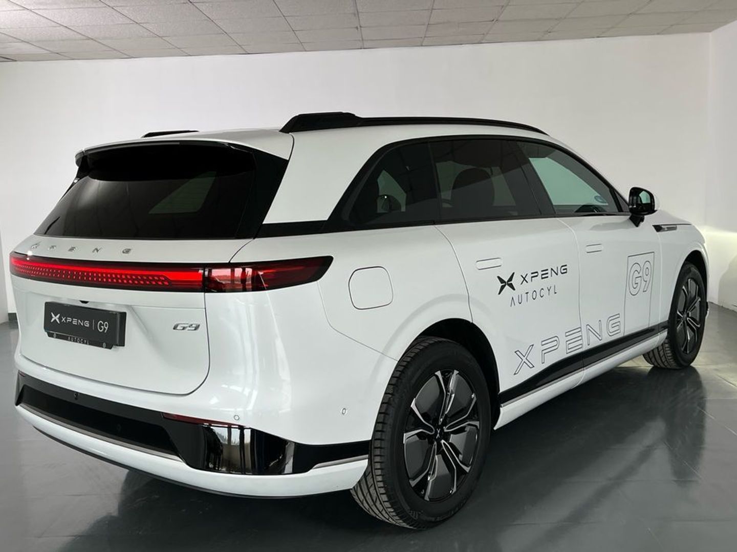 Xpeng G9 Long Range RWD 230 kW (313 CV)
