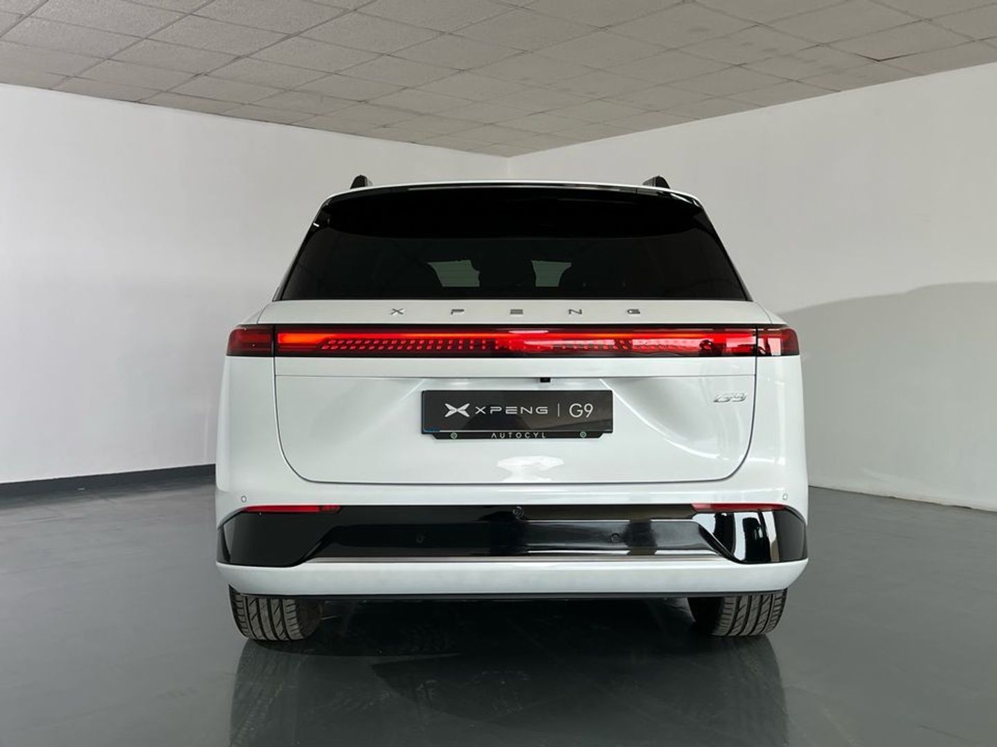 Xpeng G9 Long Range RWD 230 kW (313 CV)