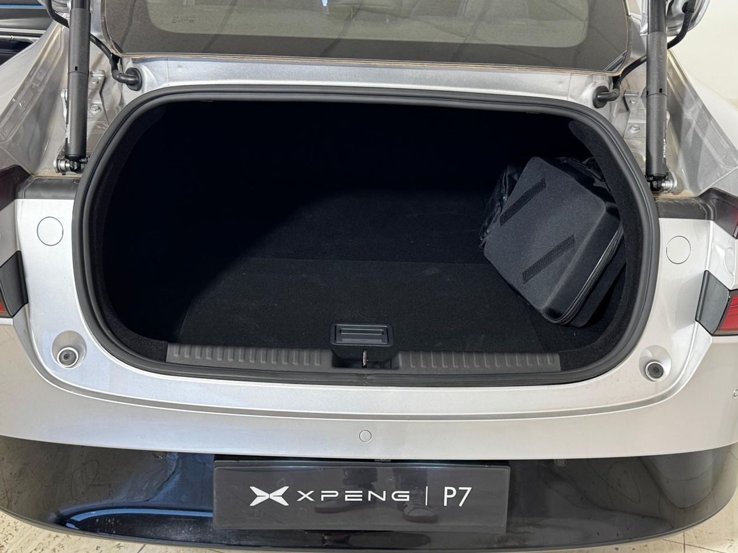 Xpeng P7 Performance AWD 348 kW (473 CV)