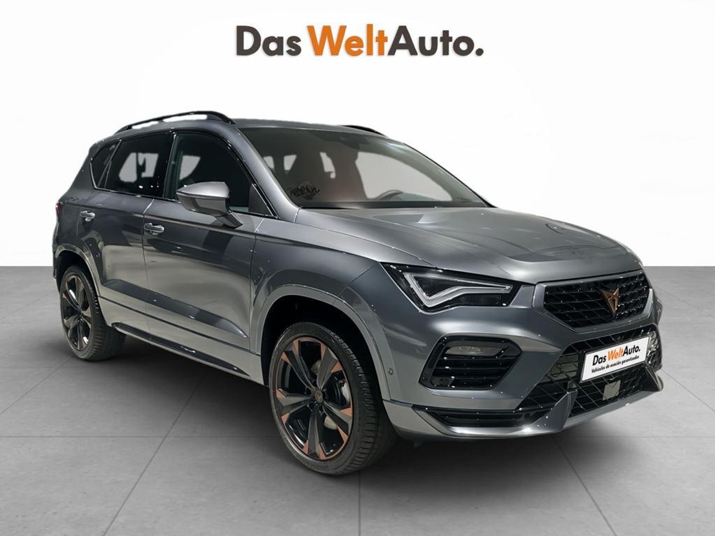 CUPRA Ateca 2.0 TSI 4Drive DSG 140 kW (190 CV) Gris SUV
