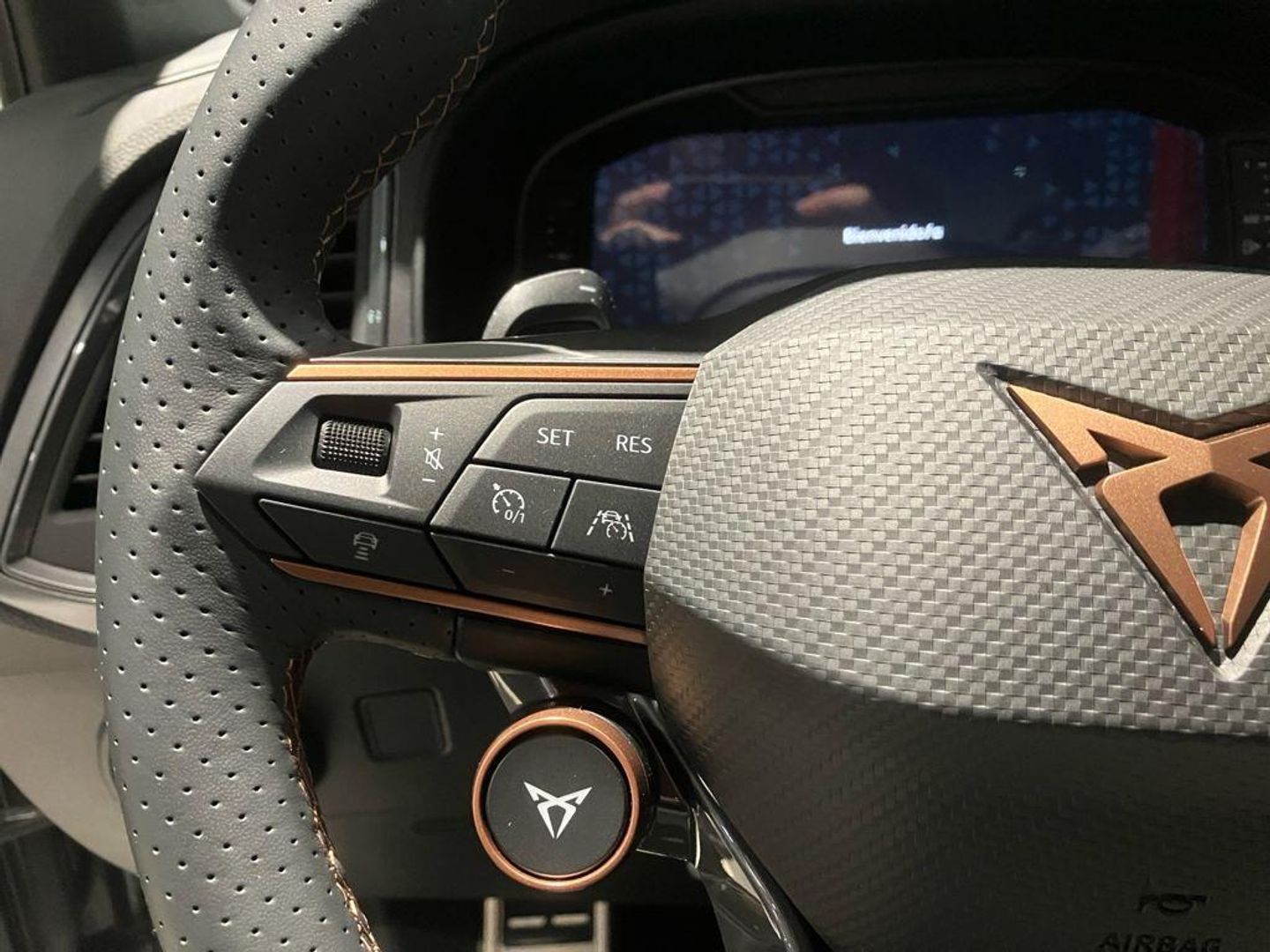 CUPRA Ateca 2.0 TSI 4Drive DSG 140 kW (190 CV)