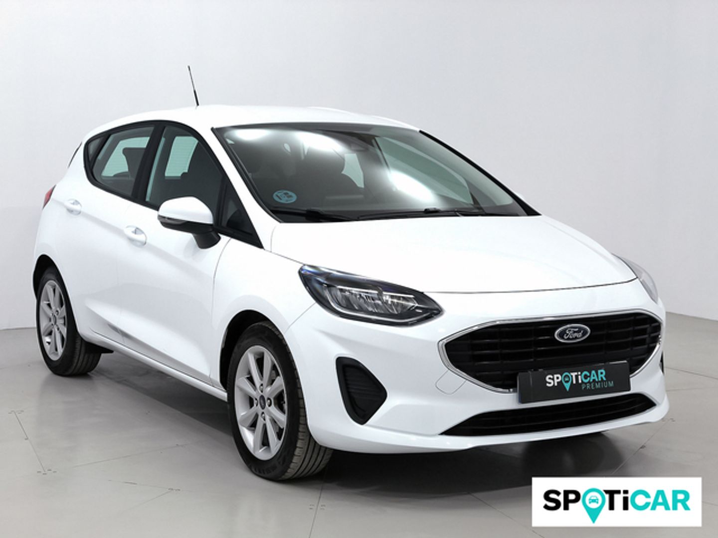 Ford Fiesta 1.0 EcoBoost Trend 74 kW (100 CV)