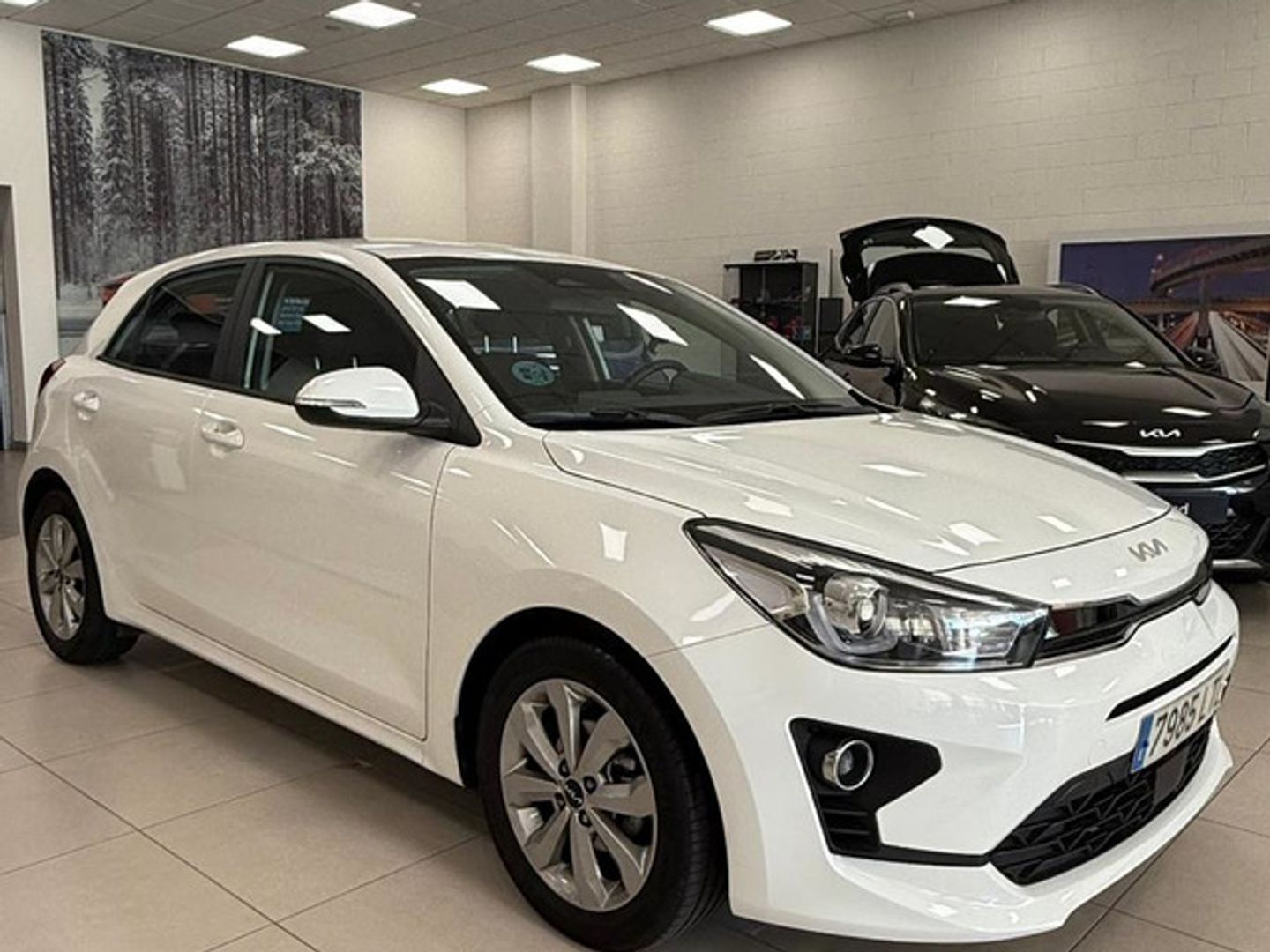 Kia Rio 1.2 DPi Drive 62 kW (84 CV) Blanco Compact