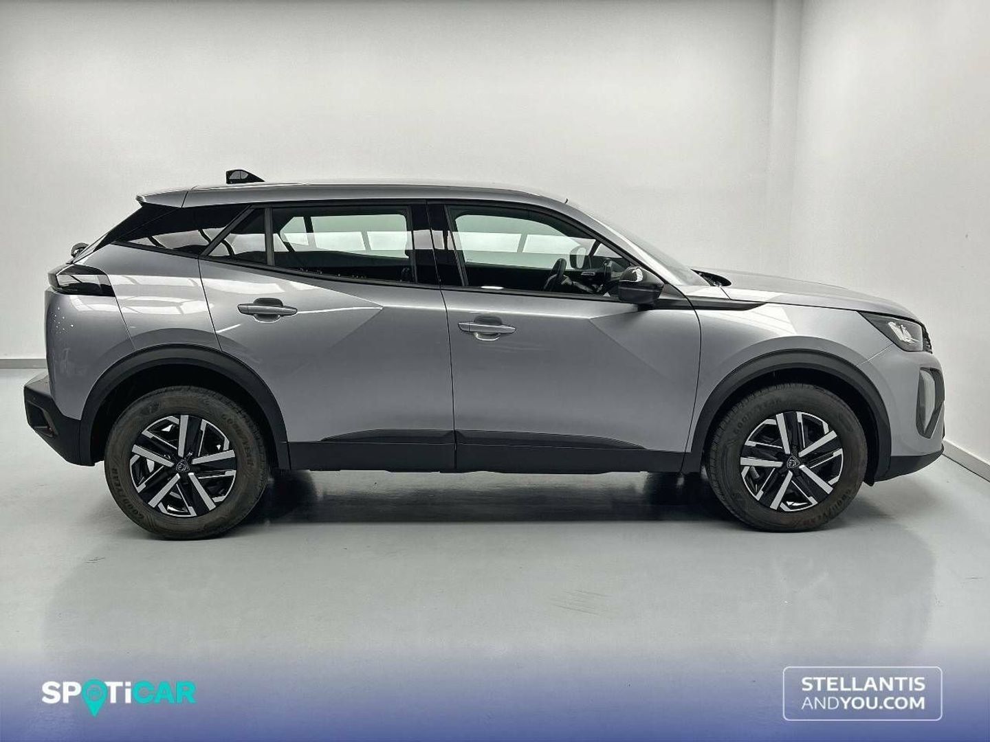 Peugeot 2008 PureTech 100 S&S Active 75 kW (100 CV)