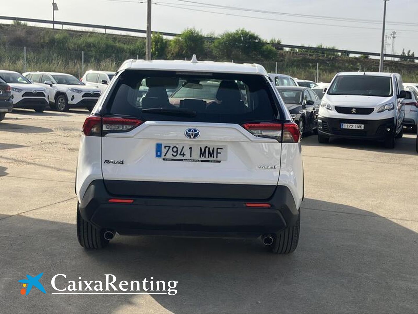 Toyota Rav4 220H Business 4WD 163 kW (222 CV)