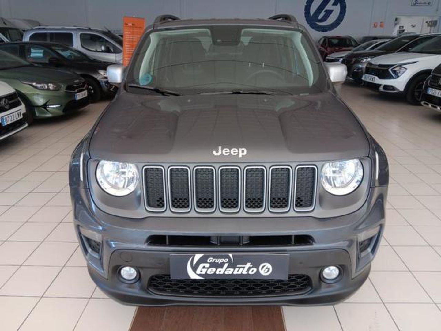 Jeep Renegade 1.6 Multijet Limited 4x2 96 kW (130 CV) Gris SUV