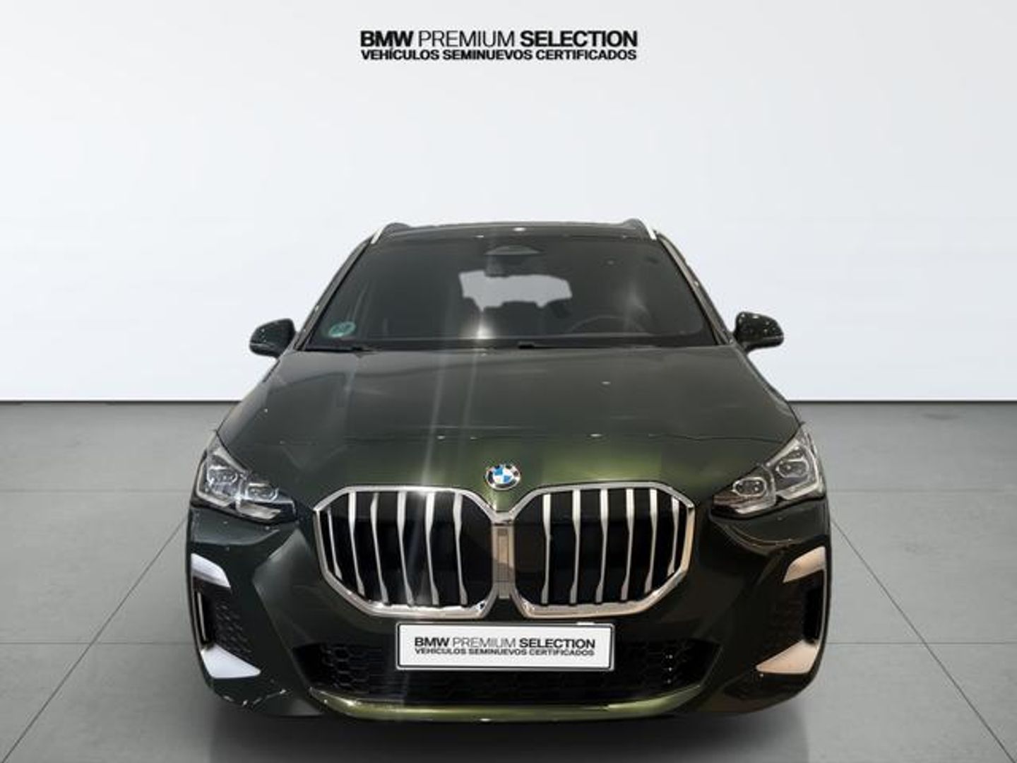 BMW Serie 2 218d Active Tourer 110 kW (150 CV) Verde Minivan