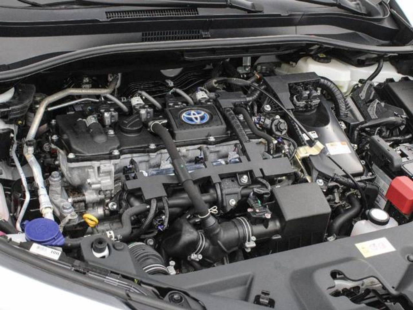 Toyota C-HR 1.8 125H Advance 90 kW (122 CV)