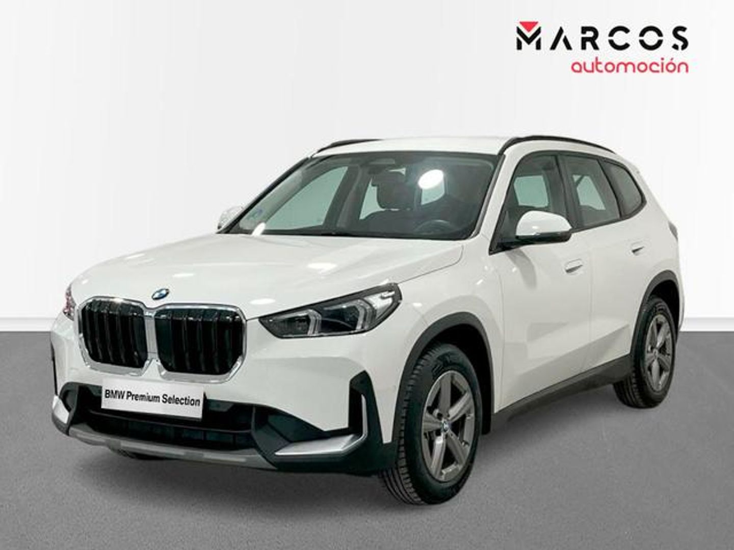 BMW X1 xDrive20d 120 kW (163 CV)