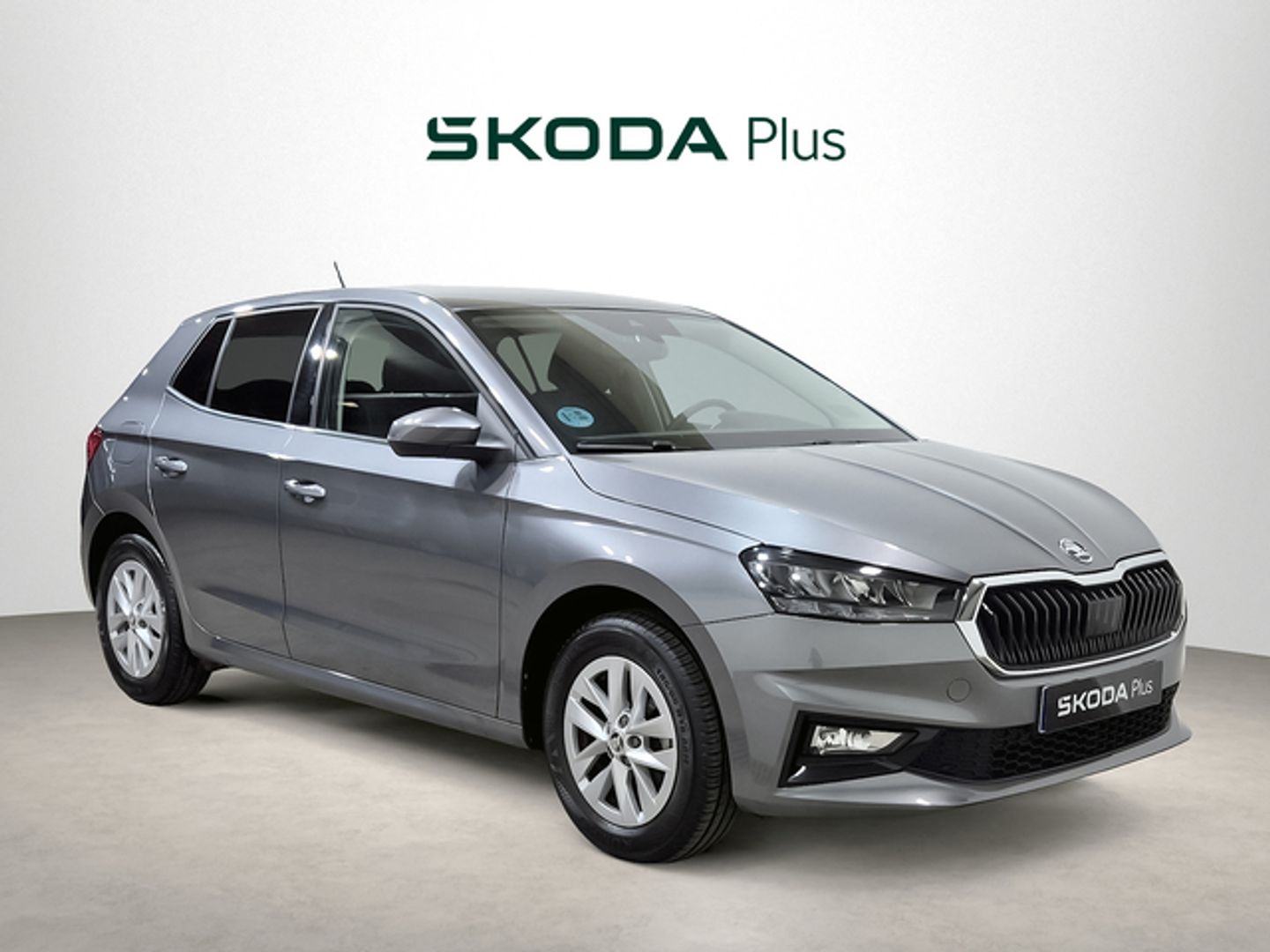 Skoda Fabia 1.0 MPI Selection 59 kW (80 CV) Gris Sedan
