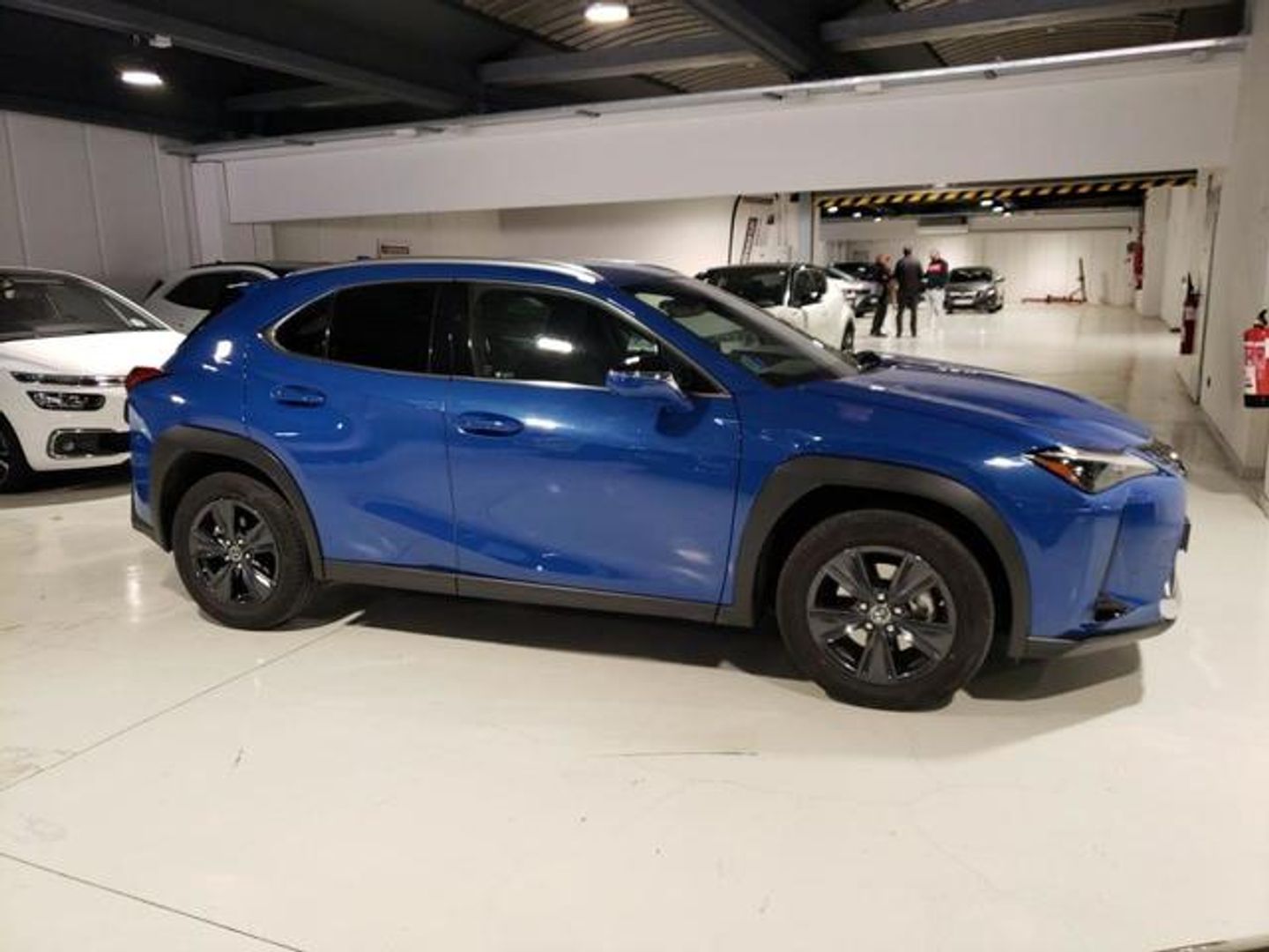Lexus UX UX 250h Business 2WD 135 kW (184 CV)