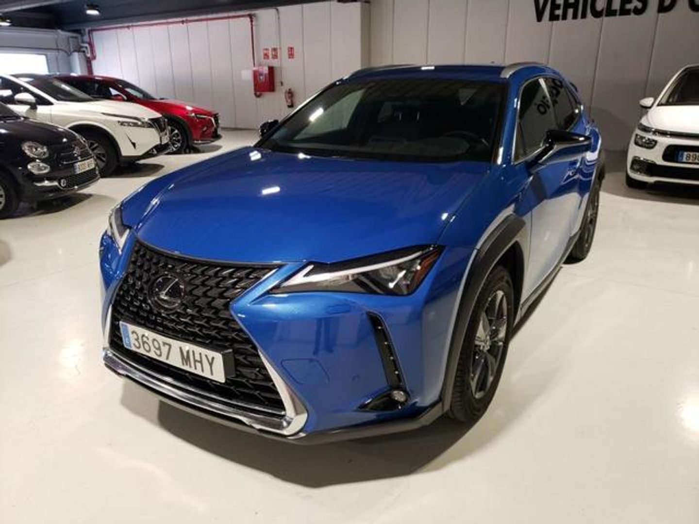 Lexus UX UX 250h Business 2WD 135 kW (184 CV)