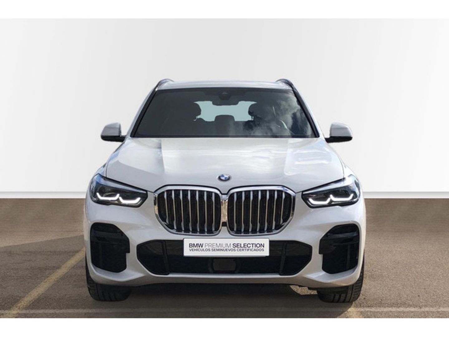 BMW X5 xDrive30d 210 kW (286 CV)