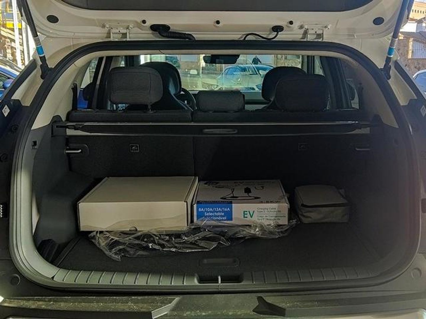 Kia EV3 Earth Long Range 150 kW (204 CV)