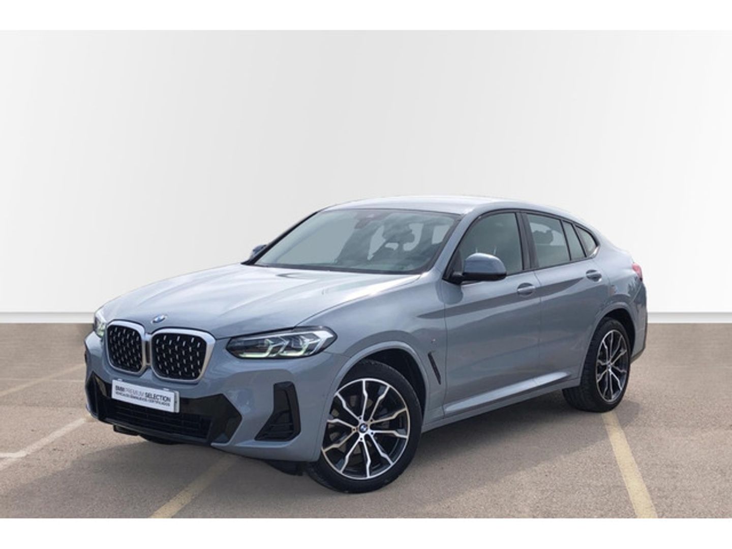 BMW X4 xDrive20d xLine 140 kW (190 CV) Gris SUV