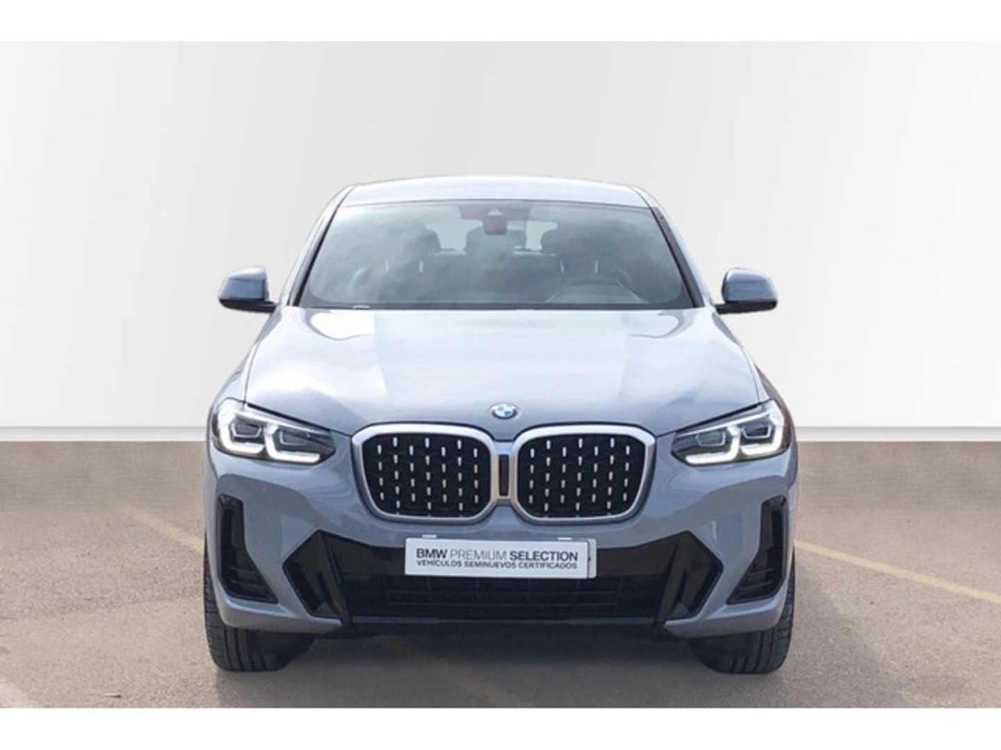 BMW X4 xDrive20d xLine 140 kW (190 CV)