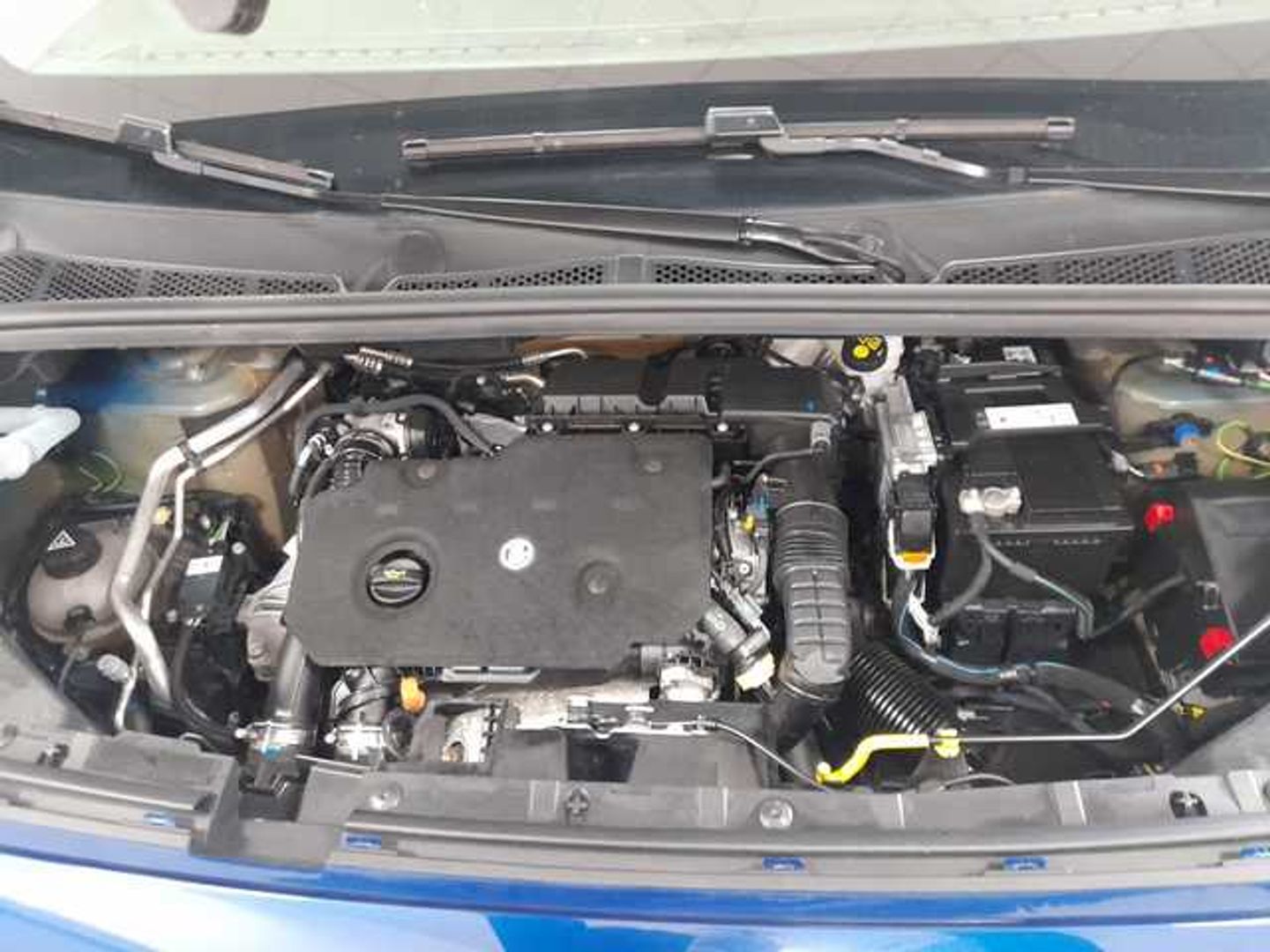 Peugeot Rifter Active Business Standard BlueHDi 73 kW (100 CV)