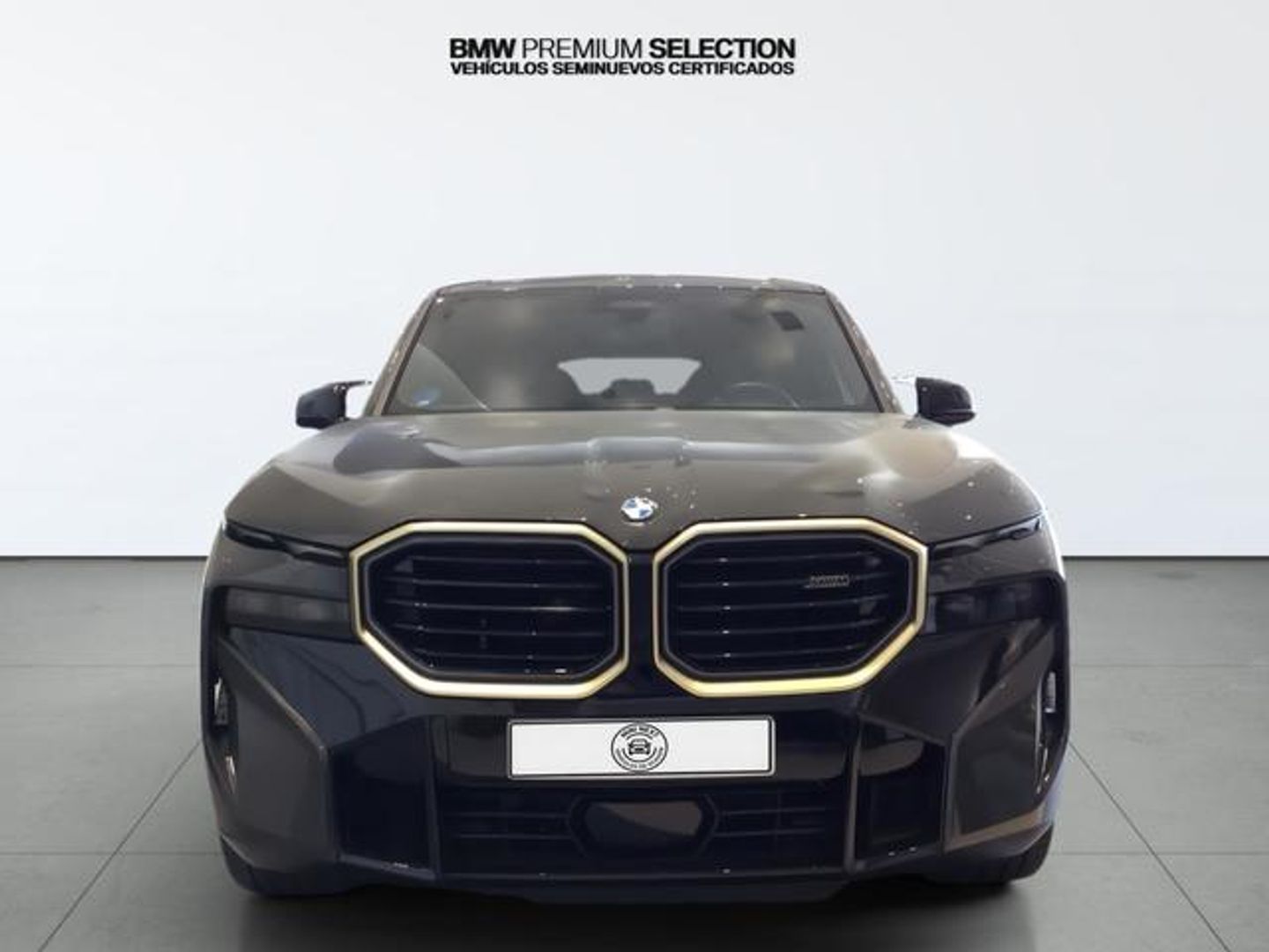 BMW XM 4.4 PHEV 480 kW (653 CV)