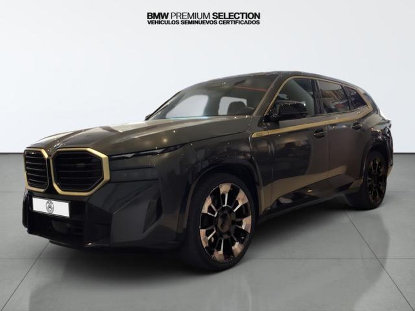 BMW XM 4.4 PHEV 480 kW (653 CV)