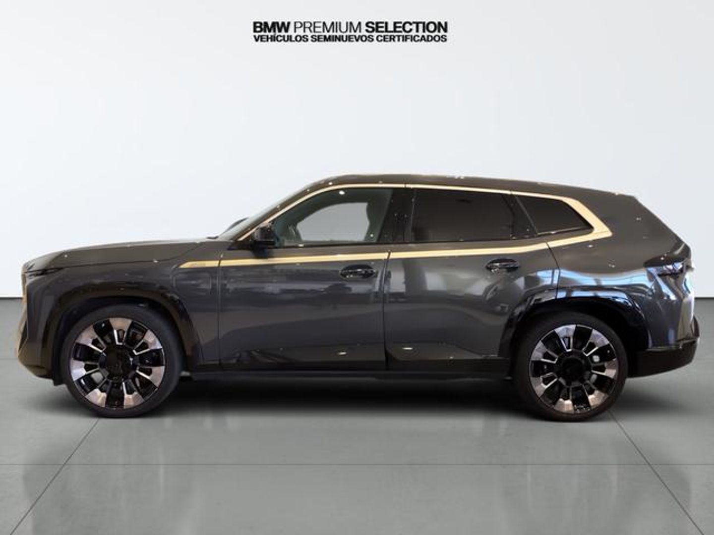 BMW XM 4.4 PHEV 480 kW (653 CV)