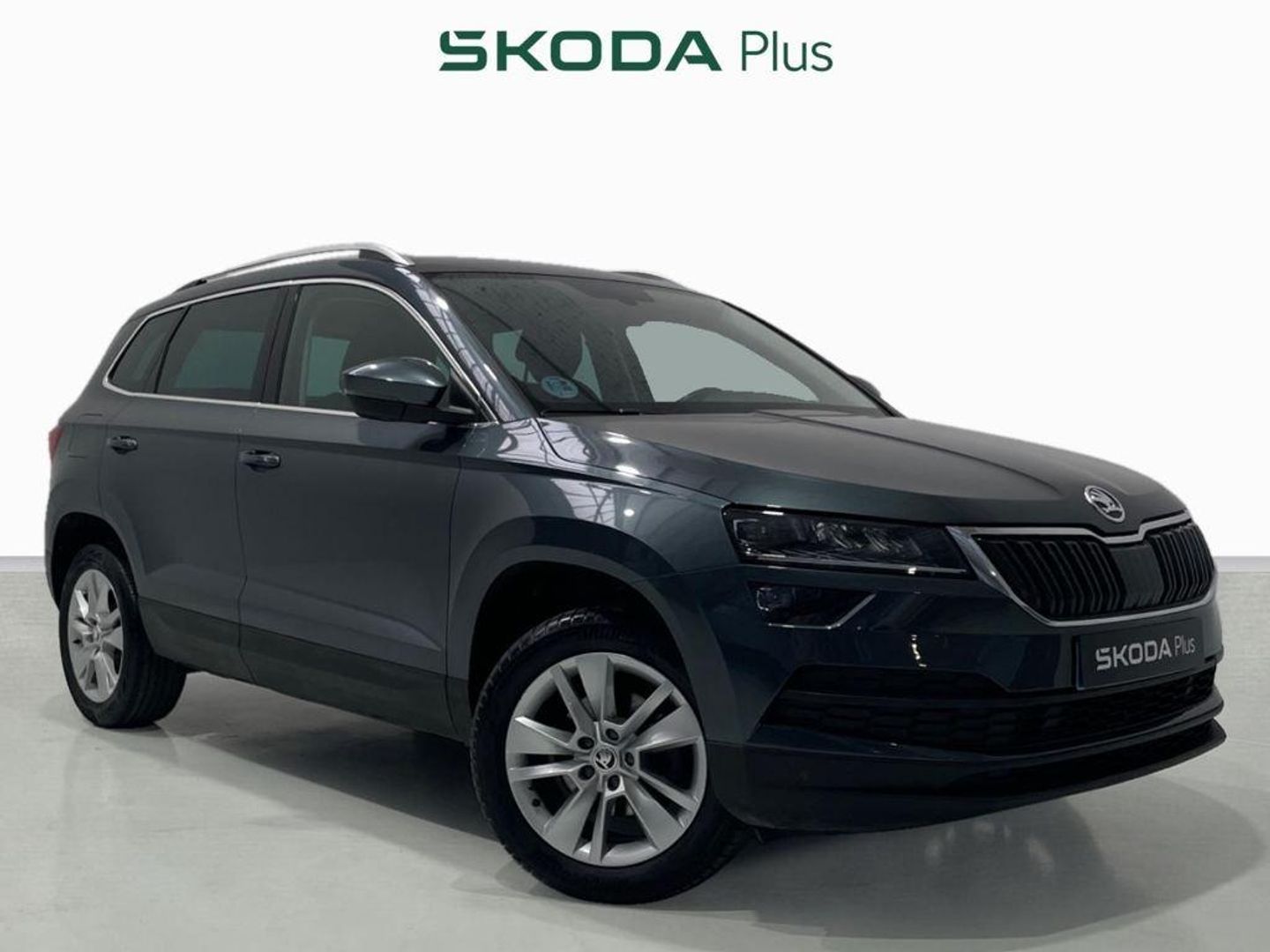 Skoda Karoq 1.0 TSI Ambition 81 kW (110 CV) Gris SUV