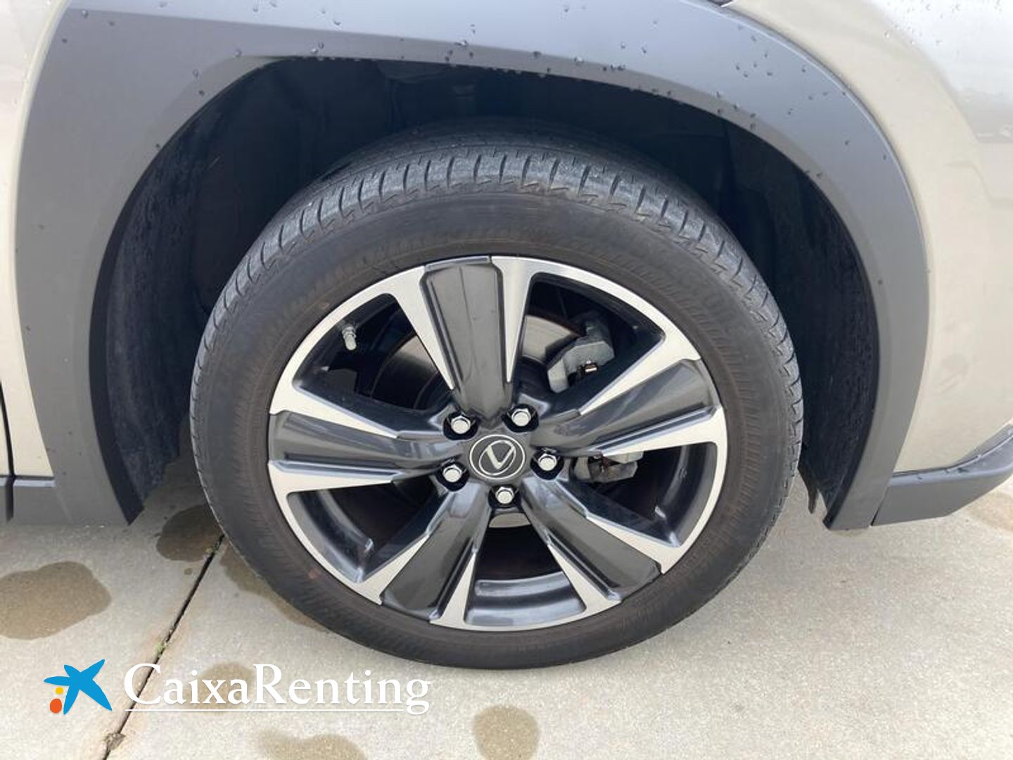 Lexus UX UX 250h Premium 135 kW (184 CV)