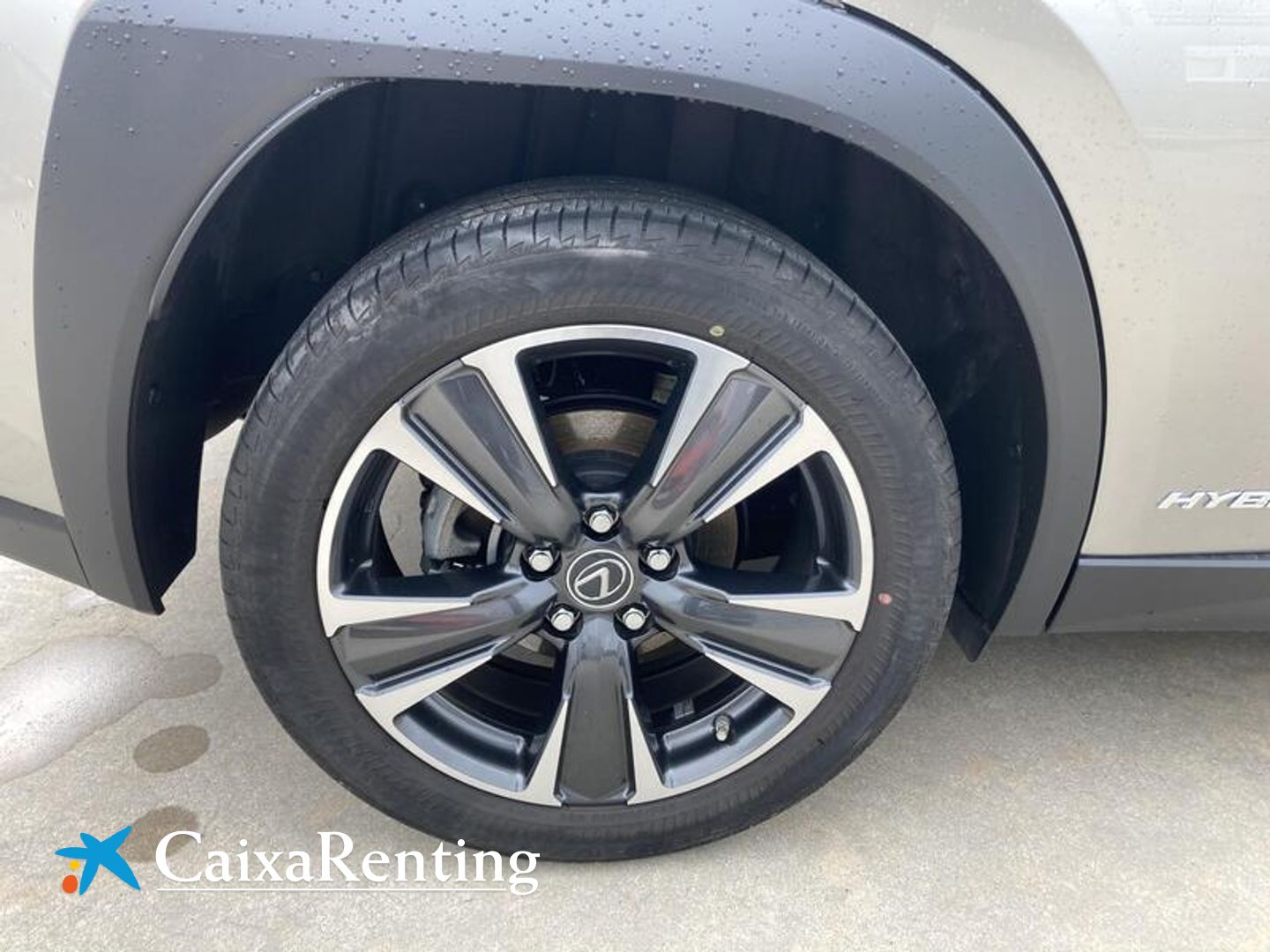 Lexus UX UX 250h Premium 135 kW (184 CV)