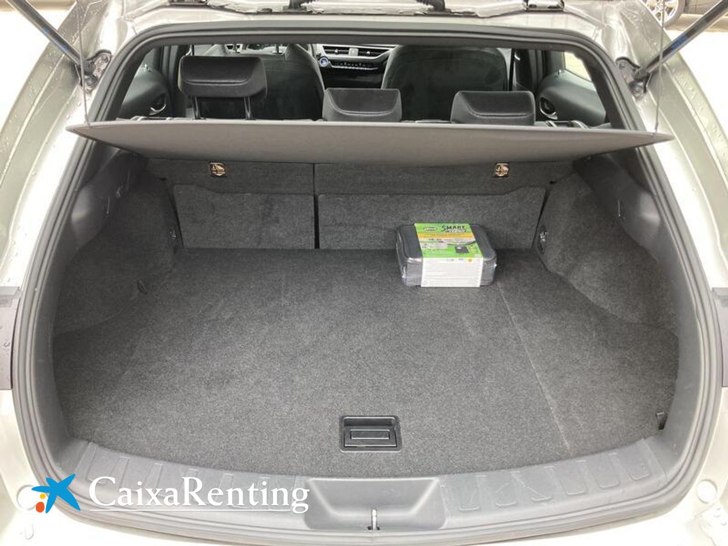 Lexus UX UX 250h Premium 135 kW (184 CV)
